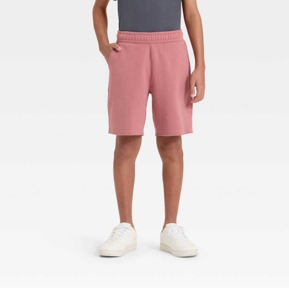 Art Class - Boys' Mauve Fleece Shorts